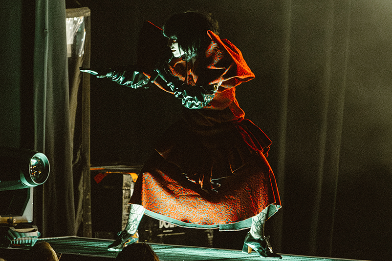 Puscifer in concert