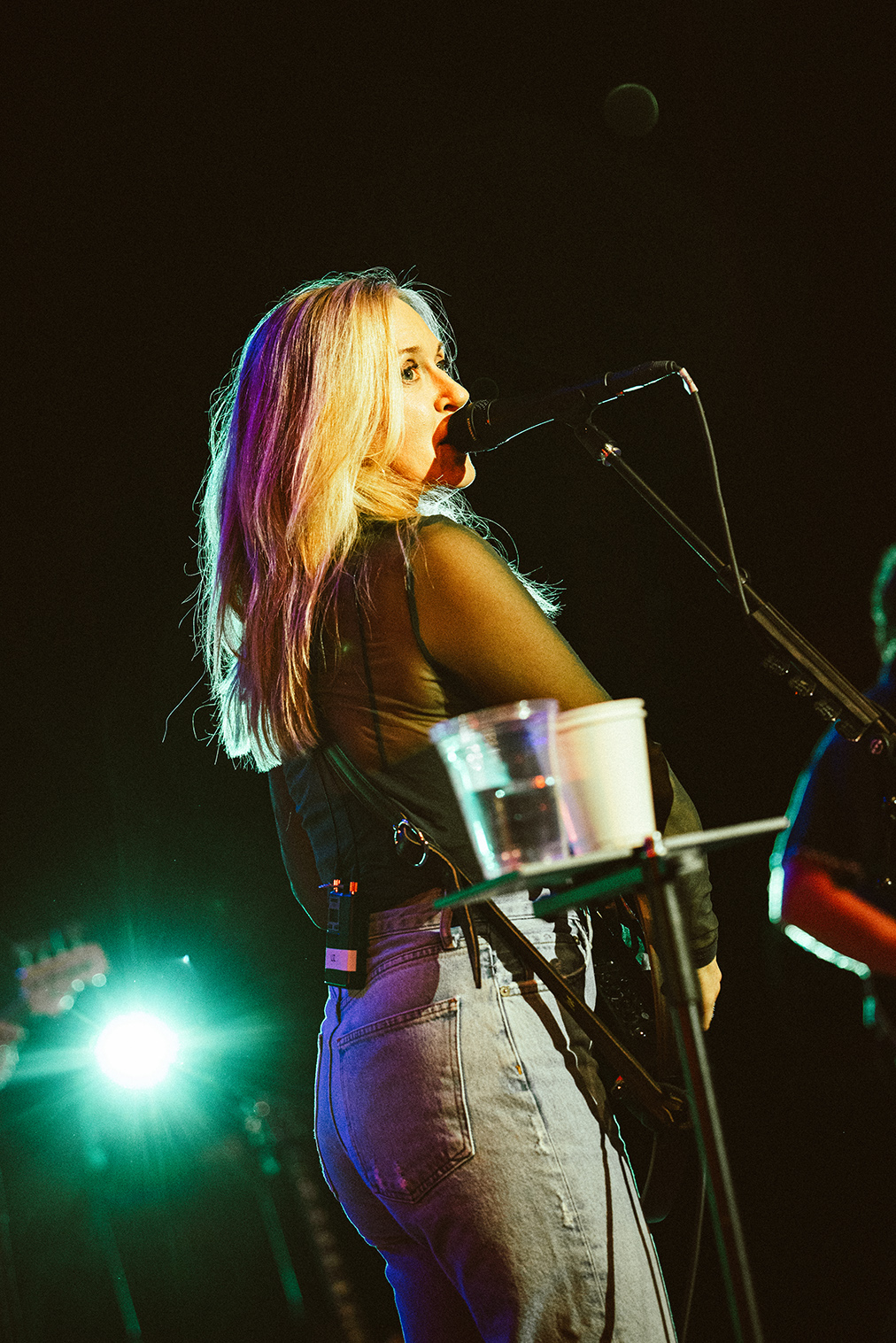 Liz Phair in concert