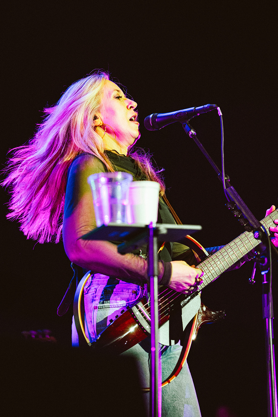 Liz Phair in concert